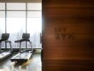 Modern gym with treadmills and city view