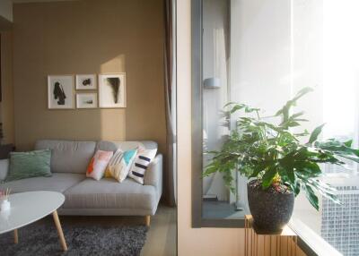 Modern living room with a couch, coffee table, and large window with city view