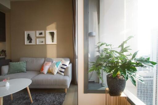 Modern living room with a couch, coffee table, and large window with city view