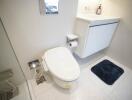 Modern bathroom with toilet and vanity