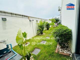 Well-maintained garden area with lush greenery and pathway.