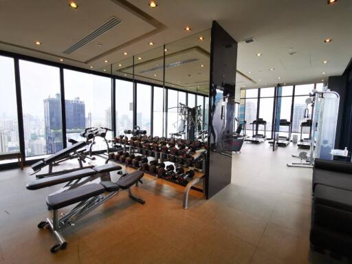 Modern gym with city view