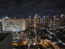 Night view of city skyline with various buildings and lit windows