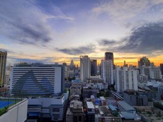 City skyline view at sunset