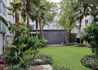 Green courtyard with trees and plants surrounded by buildings