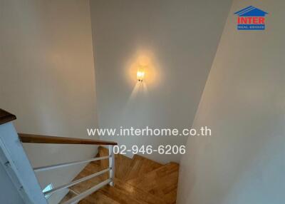 Staircase view with wooden steps and wall-mounted light fixture