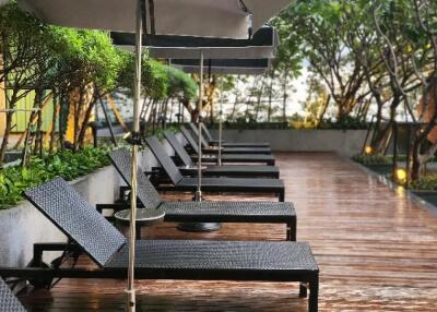 Outdoor seating area with lounge chairs and umbrellas