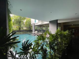 Outdoor swimming pool area with greenery