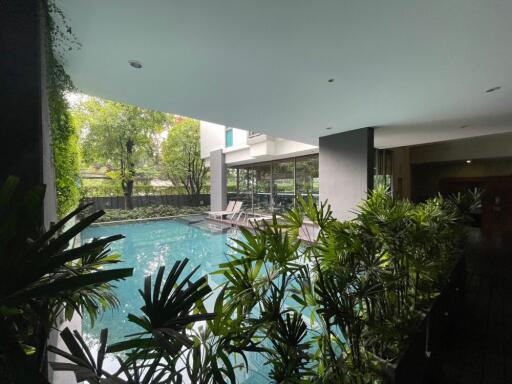 Outdoor swimming pool area with greenery