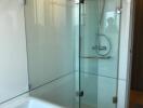 Modern bathroom with glass shower enclosure and bathtub