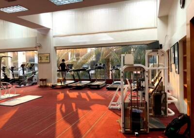 Gym with modern exercise equipment and large windows