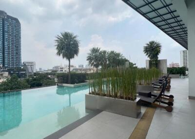 Rooftop pool with city view