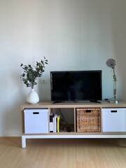 Living room with TV and storage unit