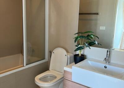 Modern bathroom with bathtub and plant