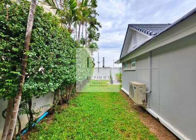 Grass yard with surrounding bushes and adjacent house exterior