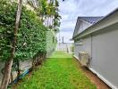 Grass yard with surrounding bushes and adjacent house exterior