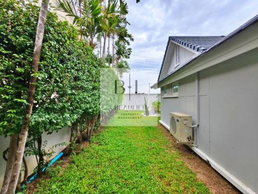 Grass yard with surrounding bushes and adjacent house exterior