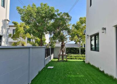 Backyard area with lawn and trees between two buildings