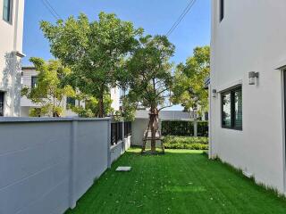 Backyard area with lawn and trees between two buildings