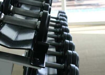 Set of dumbbells in a gym area with a view outside