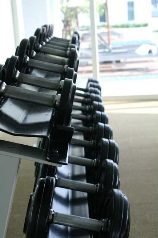 Set of dumbbells in a gym area with a view outside