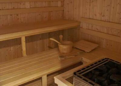 Wooden sauna with benches and sauna stove