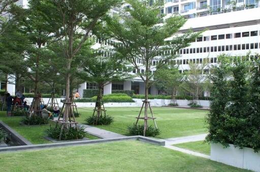 Open green space with trees and modern building in the background