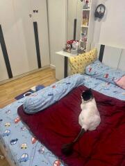 Bedroom with cat on bed