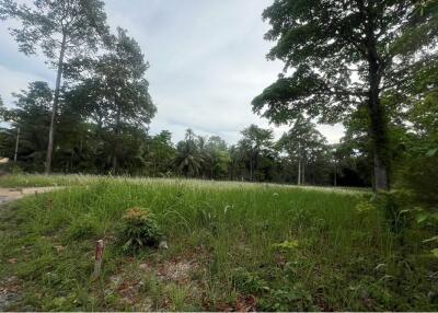 A8 Plot of Flat Land for sale near the Beach in Taling Ngam, Koh Samui