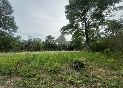 A8 Plot of Flat Land for sale near the Beach in Taling Ngam, Koh Samui