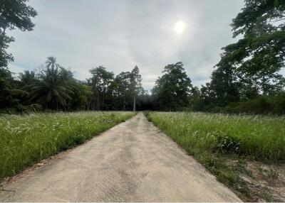 A8 Plot of Flat Land for sale near the Beach in Taling Ngam, Koh Samui