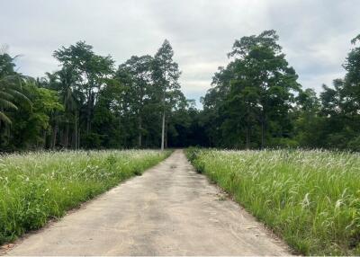 A7 Plot of Flat Land for sale near the Beach in Taling Ngam, Koh Samui