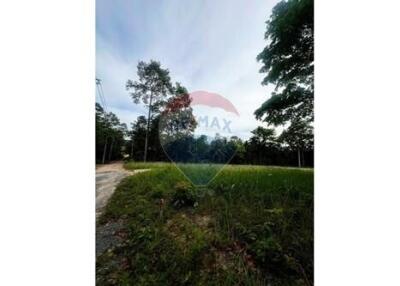 A7 Plot of Flat Land for sale near the Beach in Taling Ngam, Koh Samui