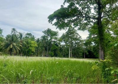 A5 Plot of Flat Land for sale near the Beach in Taling Ngam, Koh Samui