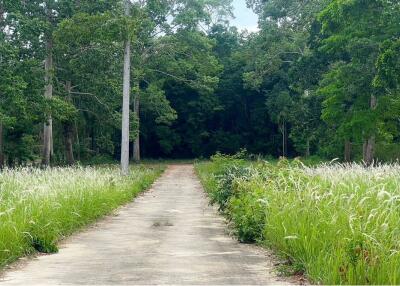 A5 Plot of Flat Land for sale near the Beach in Taling Ngam, Koh Samui