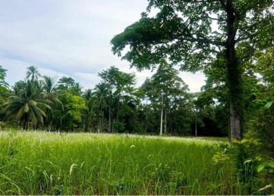 A4 Plot of Flat Land for sale near the Beach in Taling Ngam, Koh Samui