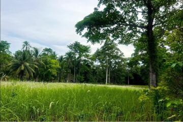 A4 Plot of Flat Land for sale near the Beach in Taling Ngam, Koh Samui