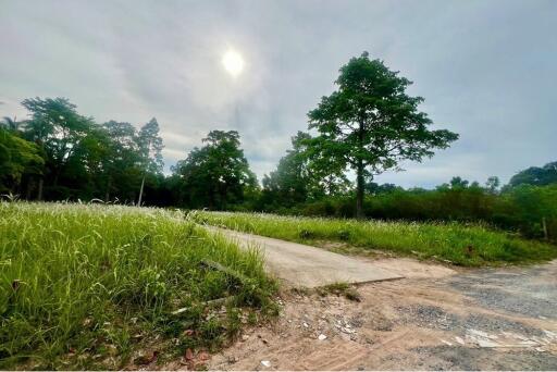 A4 Plot of Flat Land for sale near the Beach in Taling Ngam, Koh Samui