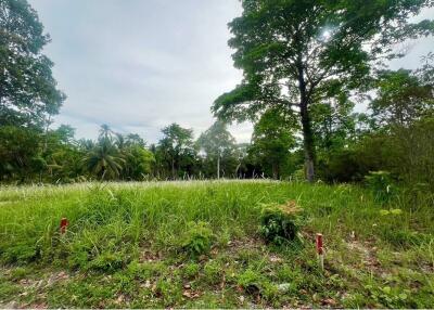 A4 Plot of Flat Land for sale near the Beach in Taling Ngam, Koh Samui