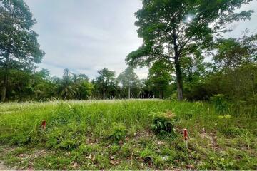 A4 Plot of Flat Land for sale near the Beach in Taling Ngam, Koh Samui