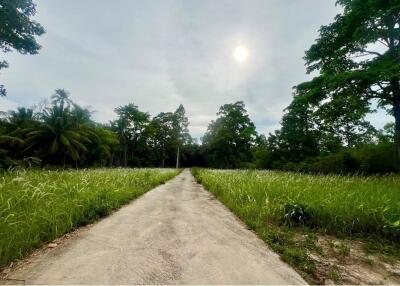 A4 Plot of Flat Land for sale near the Beach in Taling Ngam, Koh Samui