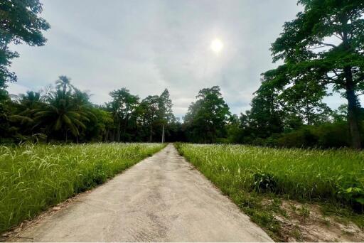 A4 Plot of Flat Land for sale near the Beach in Taling Ngam, Koh Samui