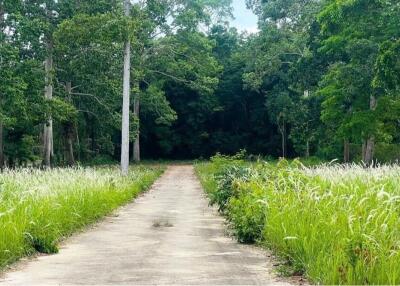 A3 Plot of Flat Land for sale near the Beach in Taling Ngam, Koh Samui