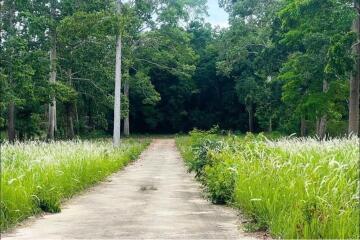 A3 Plot of Flat Land for sale near the Beach in Taling Ngam, Koh Samui