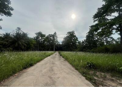 A3 Plot of Flat Land for sale near the Beach in Taling Ngam, Koh Samui