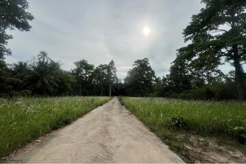 A3 Plot of Flat Land for sale near the Beach in Taling Ngam, Koh Samui