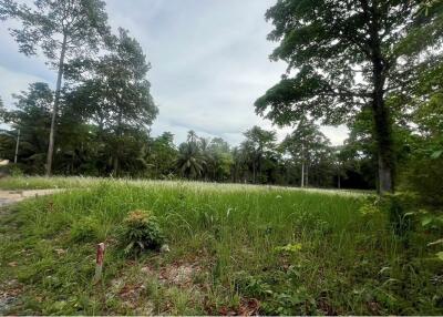 A6 Plot of Flat Land for sale near the Beach in Taling Ngam, Koh Samui