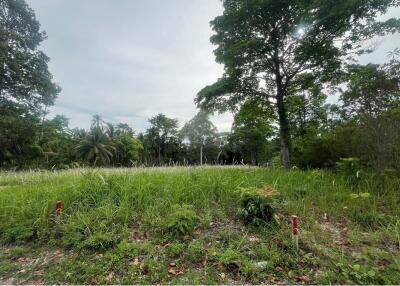 A6 Plot of Flat Land for sale near the Beach in Taling Ngam, Koh Samui