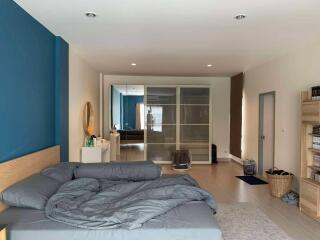 Spacious bedroom with large bed, blue accent wall, and modern wardrobe