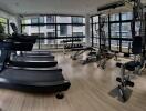 Well-equipped gym with modern fitness machines